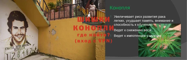 ECSTASY Нея