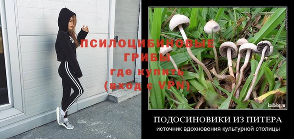 меф Новодвинск