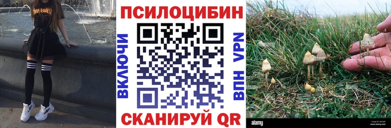 цена наркотик  Петропавловск-Камчатский  Галлюциногенные грибы Magic Shrooms 