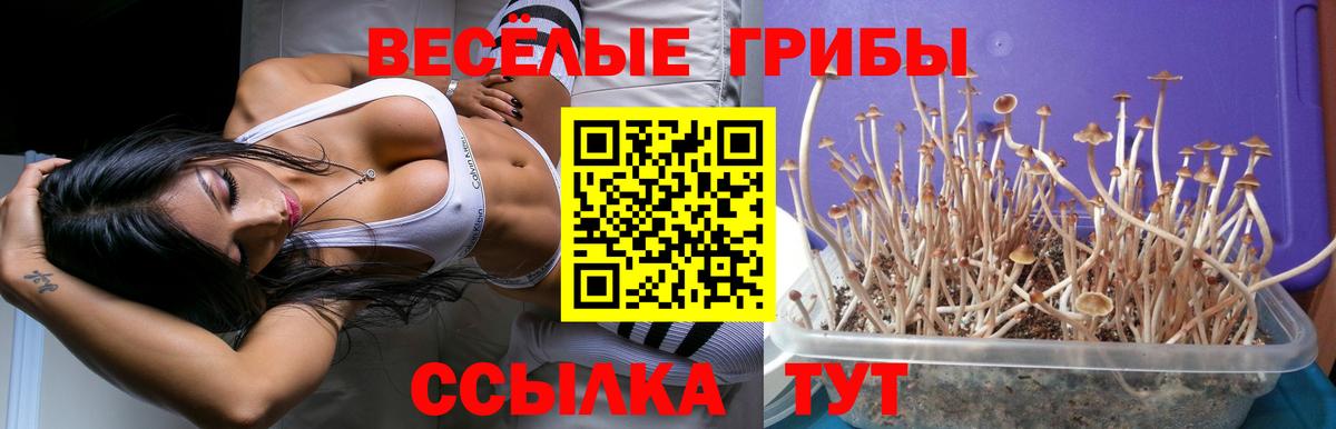 Галлюциногенные грибы Magic Shrooms  Вход с VPN  купить закладку  Петропавловск-Камчатский 