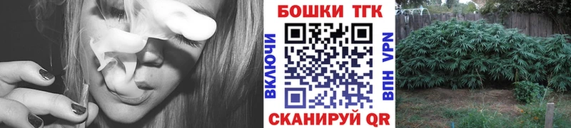 Шишки марихуана Bruce Banner  где купить наркоту  Петропавловск-Камчатский 