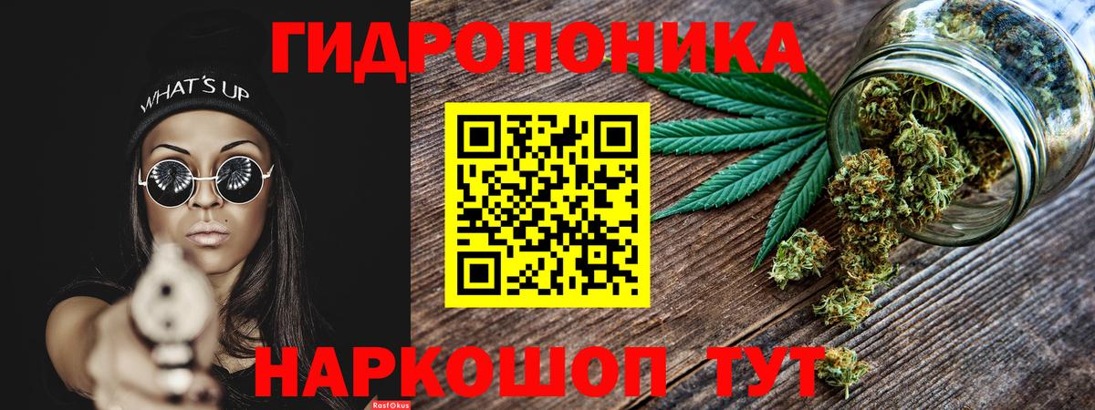Бошки Шишки AK-47  Петропавловск-Камчатский  Бошки Шишки планчик 